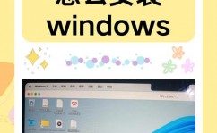 windows正版体系下载,Windows正版体系下载攻略