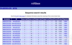 mirbase数据库,miRNA研讨的得力助手