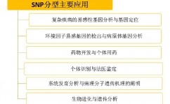 snp数据库,基因多态性的宝库