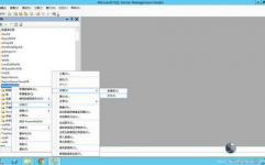 sqlserver数据库太大怎样处理,SQL Server数据库太大怎样办？高效处理办法大揭秘