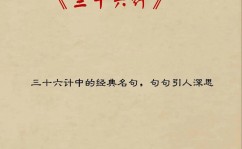 go视频教程,从入门到实战