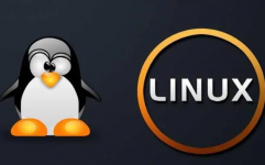 linux体系有什么用,Linux体系的广泛运用与优势