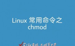 linux赋予用户权限,Linux赋予用户权限的重要性