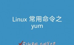 linux是使用软件吗,Linux是使用软件吗？——深化解析Linux的实质