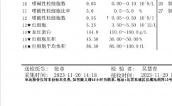 windows7进不了桌面,Windows 7无法进入桌面？教你轻松处理