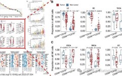 r言语boxplot,boxplot函数根本语法