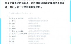 linux目录结构图,Linux目录结构概述