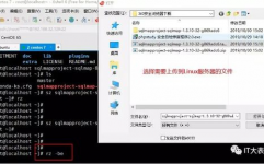 上传文件到linux,Linux服务器文件上传攻略