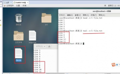 linux检查文件行数,Linux体系下检查文件行数的有用办法