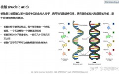 ai格局综合征,AI技能在辨认稀有遗传综合征中的使用与应战