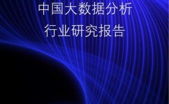 上海市大数据中心,推进城市数字化转型的重要力气