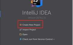 linux装置idea,Linux体系下装置IntelliJ IDEA的具体教程