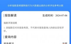 查个人大数据,全面了解个人大数据查询——把握信誉情况的利器