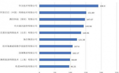 我国大数据企业排行榜,职业领军者盘点