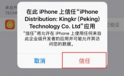 苹果手机未受信赖的企业级开发者,苹果手机未受信赖的企业级开发者问题解析及处理方案