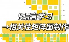 r言语矩阵转置