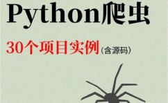 python爬虫有什么用,Python爬虫的广泛运用与价值