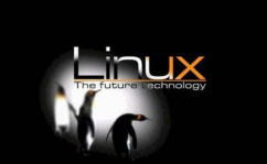 华为linux,华为Linux体系概述