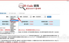 swift 查询,快速找到您需求的银行世界代码