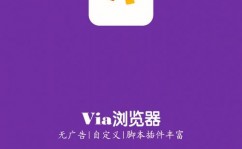 via浏览器自界说css,经过VIA浏览器自界说CSS，打造个性化网页体会