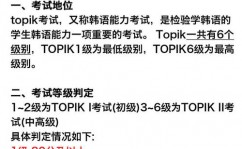 www.topik.go.kr, 什么是Topik考试？