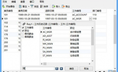 数据库软件开发,数据库软件开发的重要性