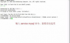 linux发动mysql指令