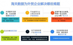 海关大数据,推进国际买卖与监管的才智晋级