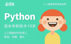 python少儿,敞开编程之旅的钥匙