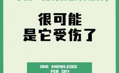 机器学习包,助力数据科学家高效建模