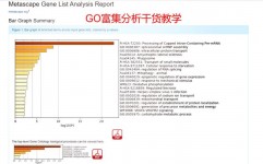 go富集剖析,提醒基因功用与生物学途径的要害东西