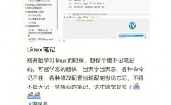 长春linux训练,敞开你的IT作业新篇章