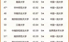 大数据大学专业排名,2024年我国大数据大学专业排名解析