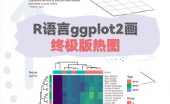 r言语lapply,高效处理列表的利器