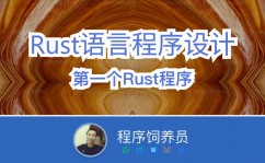 rust教程,rust教程 从入门到通晓