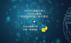 python和r言语,数据剖析范畴的双璧