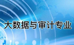 大数据与审计,大数据年代下的审计革新与立异