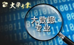 大数据科学与技能专业,大数据科学与技能专业概述