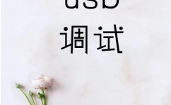 小米手机怎样封闭开发者形式