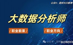 金融大数据剖析师,数据年代的金融智囊