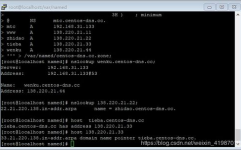 linux装备dns指令