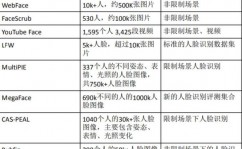 人脸辨认大数据,技能革新与未来展望