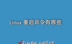 linux重启数据库,Linux体系下数据库重启攻略