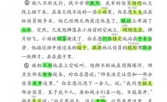 机器学习教育纲要,理论与实践相结合的教程