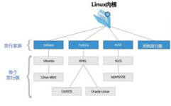 Linux体系分类,Linux体系概述