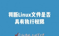 linux运转sh文件,具体攻略与常见问题回答