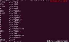 linux检查目录巨细,运用df指令检查目录巨细