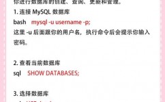 进入mysql数据库,衔接、操作与保护攻略