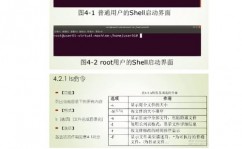 linux期末考试,全面查验操作体系技术