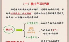 mysql数据库衔接东西,东西简介